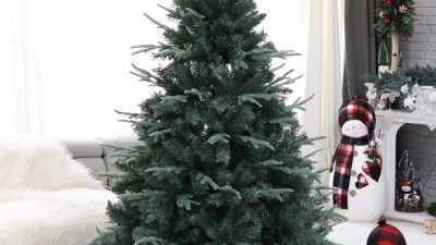 놓치면 후회! 전나무트리180 🎄 역대급 할인 후기!