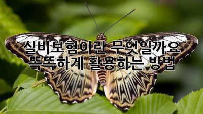 실비보험이란 무엇일까요? 똑똑하게 활용하는 방법